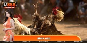 Sảnh AOG